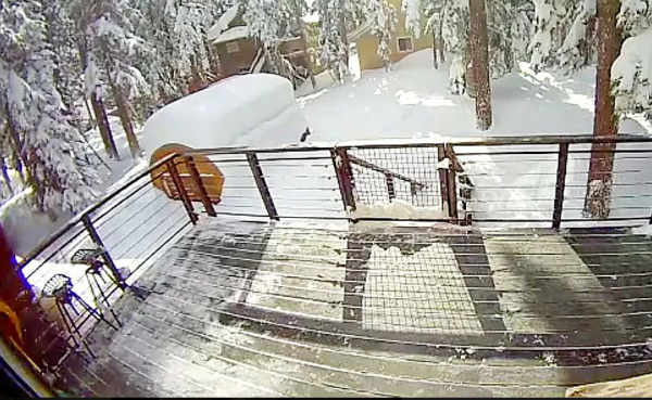 View from house porch, Quonset shed buried in snow, only front brown endwall can be seen, snowy pine tree forest